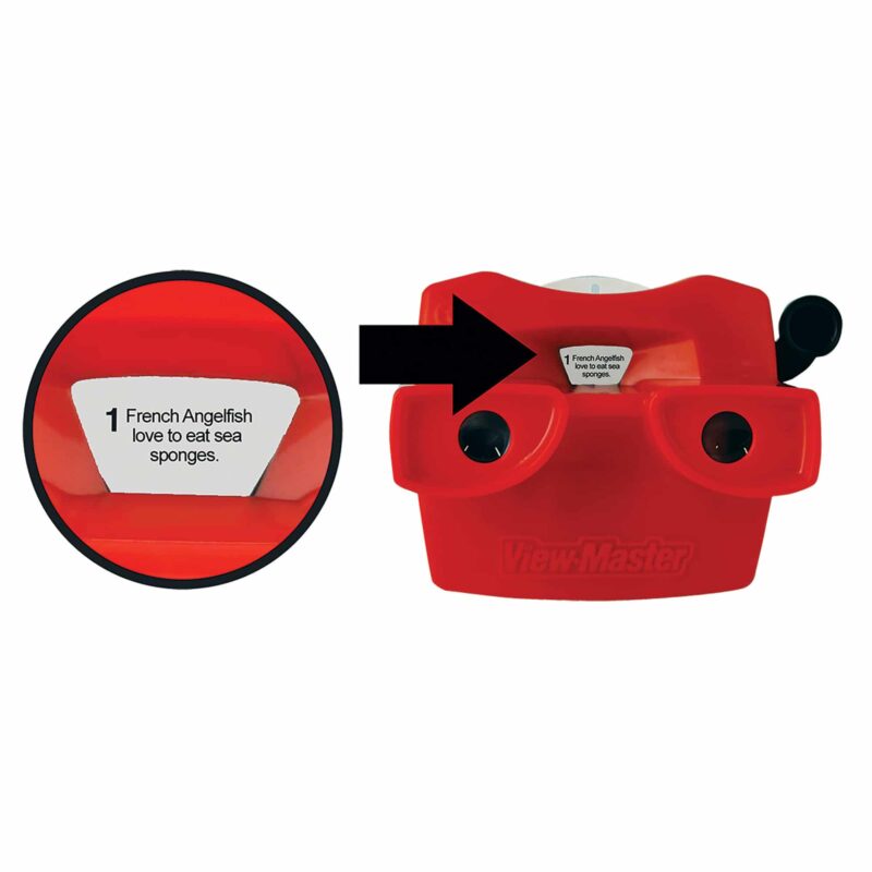 Viewmaster Boxed Set - US 1306