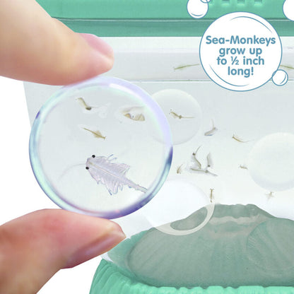 Sea-Monkeys Ocean Volcano - US 5019