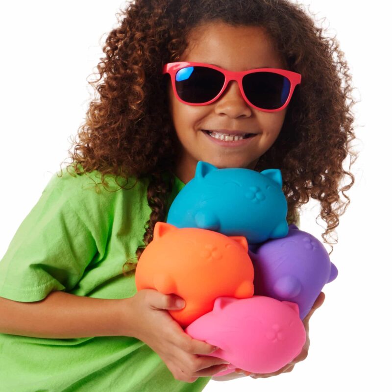 Super NeeDoh Cool Cats - US 3591